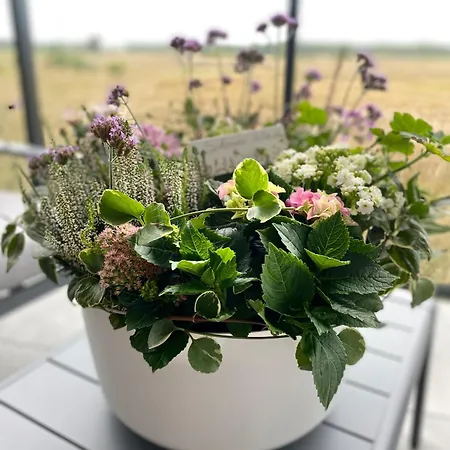 Apartment Westin House Kołobrzeg-219 *