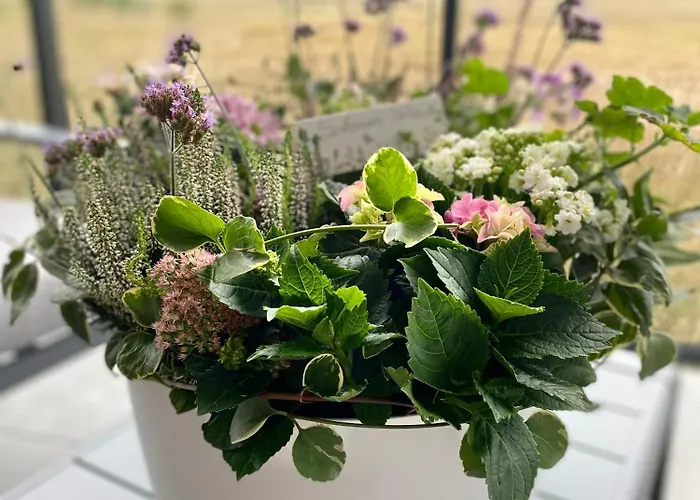 Apartment Westin House Kołobrzeg-219 *